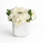 Bouquet fleurs blanches
